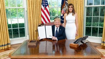 Trump Signs Executive Order To Imprison Statue Destroyer For 10 Years