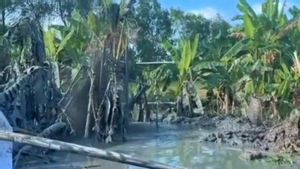 Semburan Lumpur di Tulang Bawang Lampung, ESDM: Tidak Mengandung Gas Berbahaya