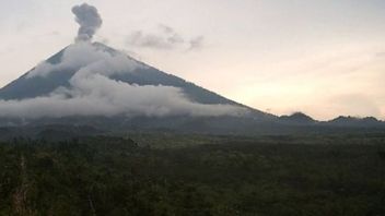 スメル山噴火、噴火柱高800メートル
