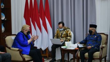 Vice President Ma'ruf Amin Meets Bosnian Foreign Minister Bisera Turkovic