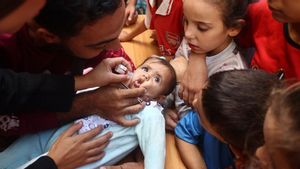    WHO: 18.500 Lebih Pasien di Gaza Butuh Pengobatan Medis Khusus