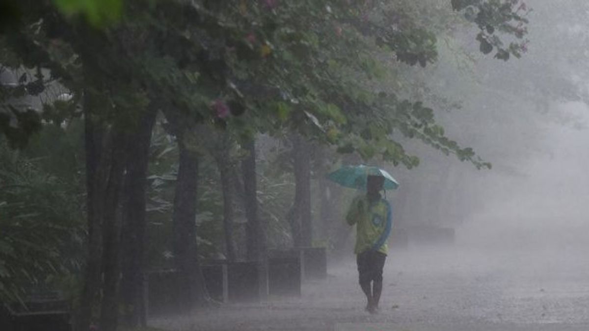 Weather Thursday 14 November: Beware Of Rain And Lightning In Big Cities In Indonesia