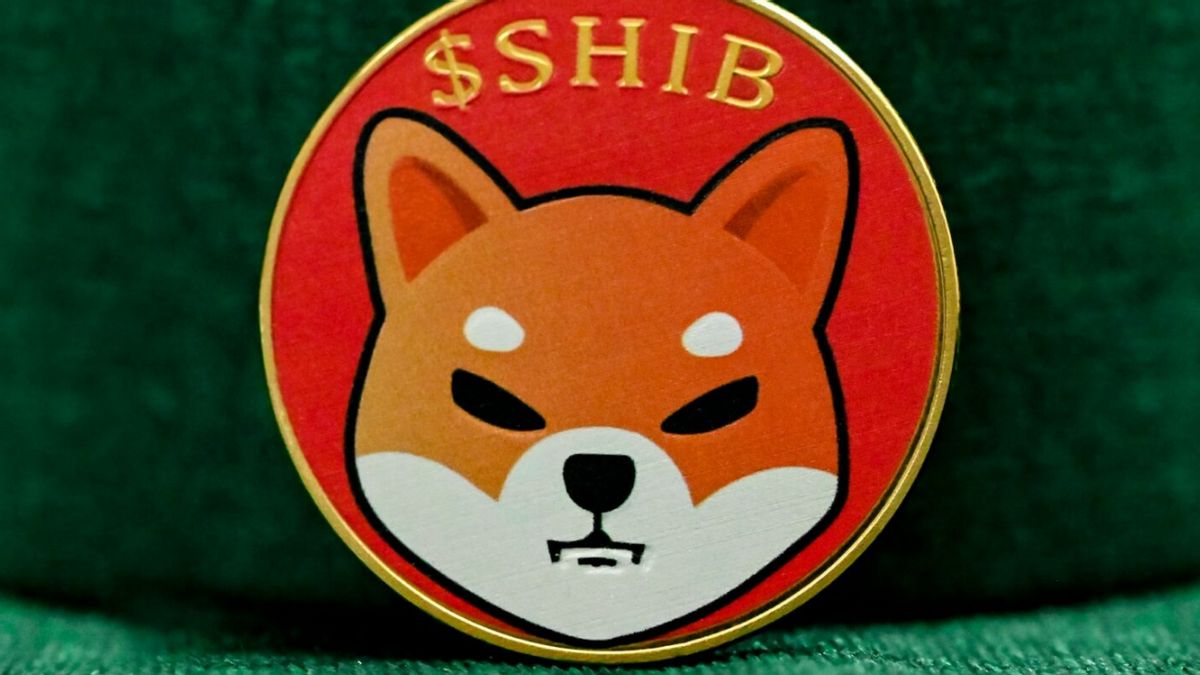 Shiba Inu的开发者制作了Anyar计划,这是泄密!