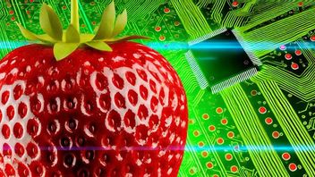 OpenAI prêt à lancer un « Trawberry », une AI capable de réfléchir avant de répondre