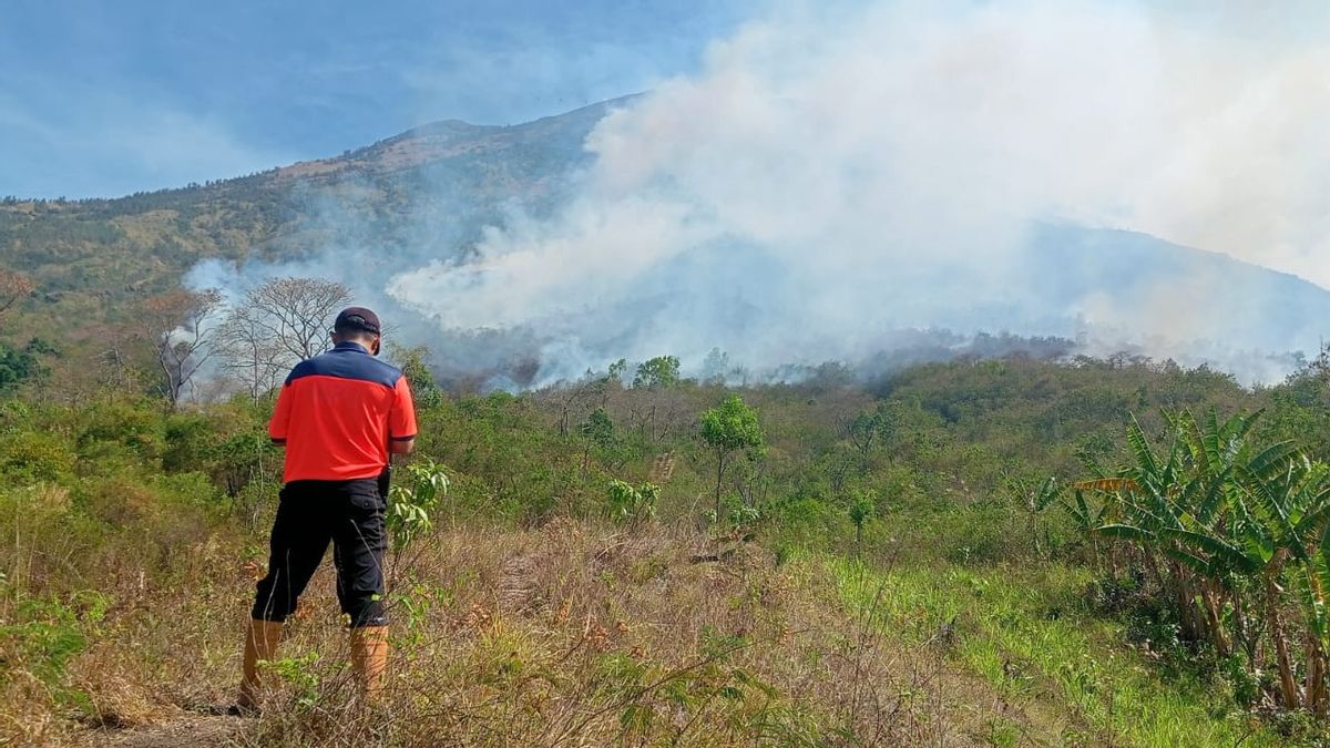 巴厘岛阿贡山坡上的火灾,8公顷的被烧毁土地