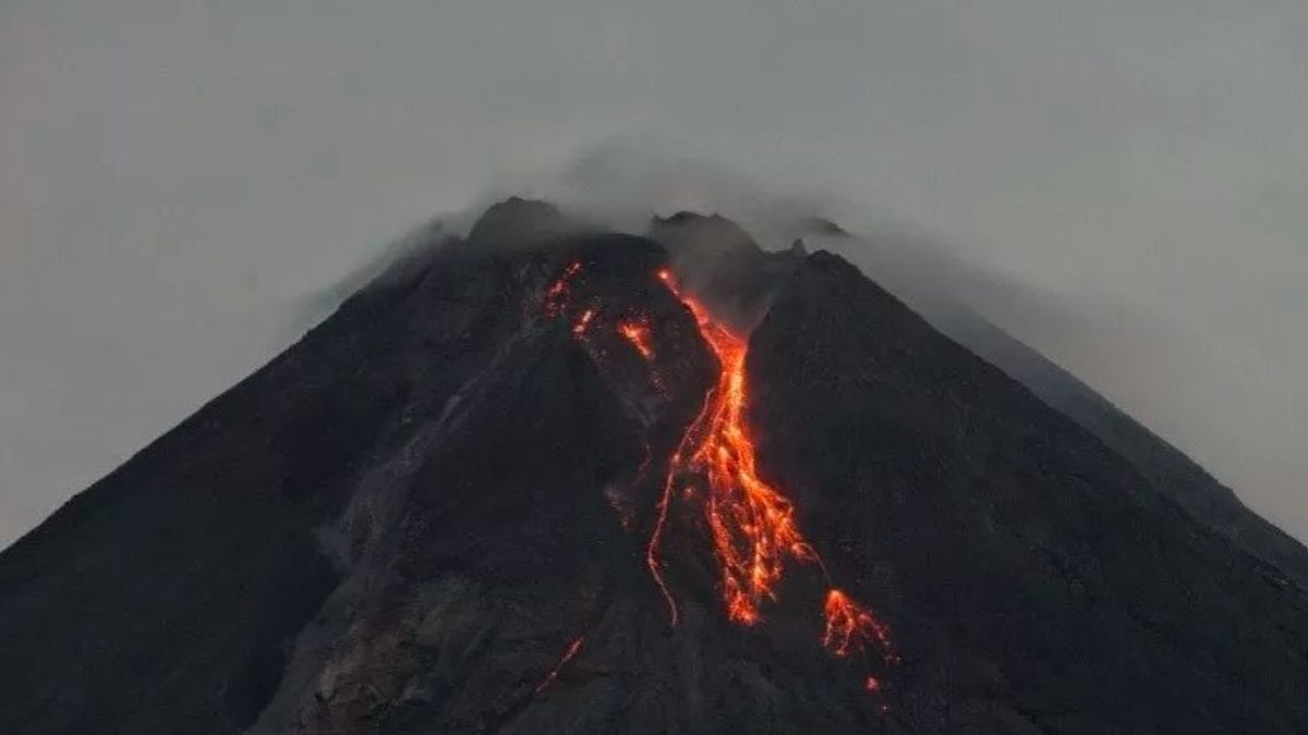 Gunung Merapi 16 Kali Muntahkan Guguran Lava Pijar