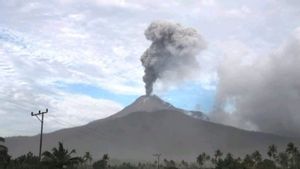 BNPB: Zona Bahaya Erupsi Gunung Lewotobi Laki-laki Radius 2 Kilometer