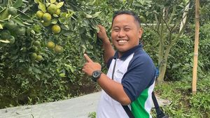 Lama Tak Terlihat, Narji Kini Jadi Petani: Gue Lebih Cocok Jadi Keluarga Cemara