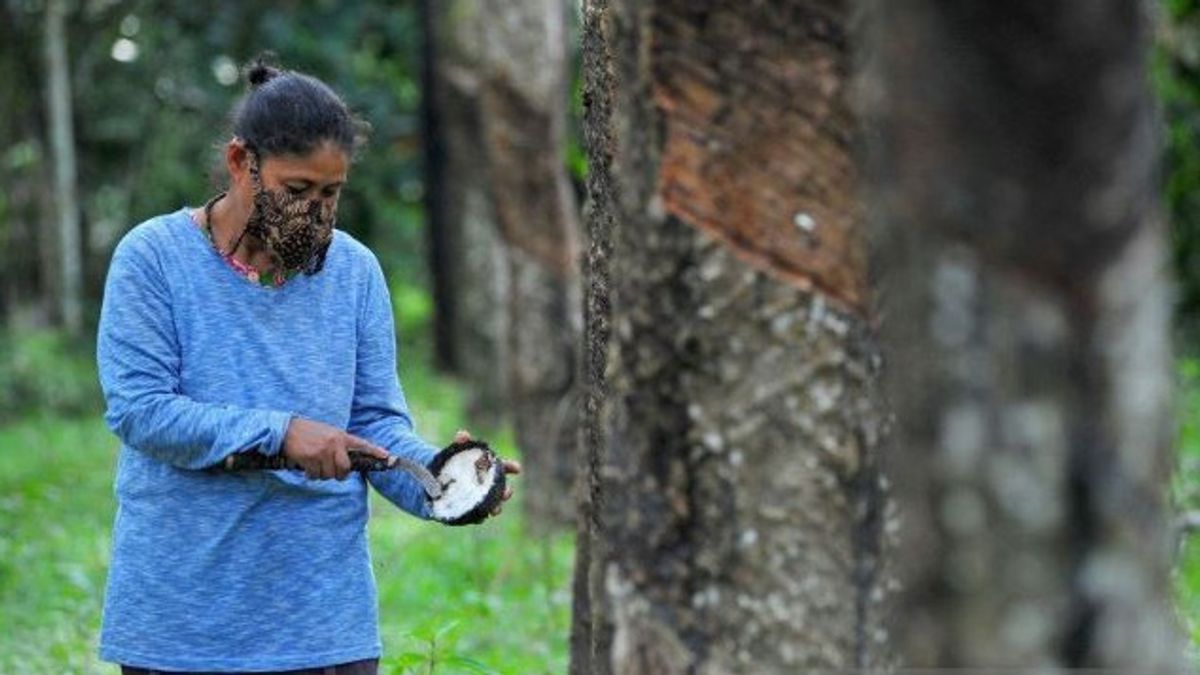 Kementerian PPPA: Pemberdayaan Perempuan di Bidang Ekonomi Jadi Fokus Isu G20