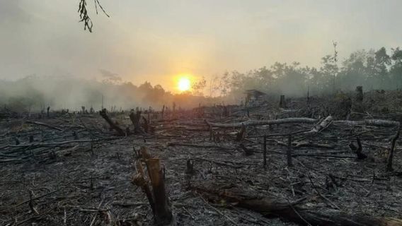 Siaga Bencana Karhutla di Musim Kemarau, BPBD OKU Siapkan Alat Penanganan 