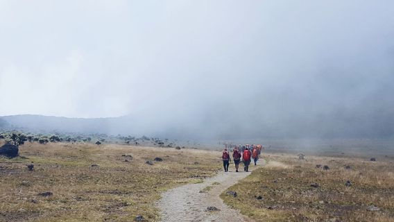 PVMBG Notessssing The Improvement Of Local Tectonic Earthquakes On Mount Gede, Lasting 10-86 Seconds