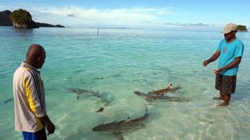 Menpar Klaim Raja Ampat Aman Dikunjungi Wisatawan Usai Kabar Penutupan Akses ke Pulau Wayag