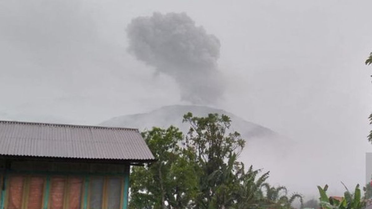 تحاول وزارة البيئة والغابات جعل جميع ضحايا ثوران بركان جبل مارابي يحصلون على التأمين