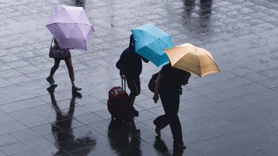 كان أنيس باسويدان في طوكيو عندما كانت العاصفة الاستوائية ميري التي يمكن أن تجلب أمطارا غزيرة متجهة إلى هناك