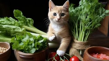 6 Makanan Berserat yang Aman untuk Kucing, Ketahui Kebutuhannya Setiap Hari