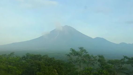 Pengungsi Semeru: Siang Pulang ke Rumah Cek Ternak, Malam Tidur di Pengungsian