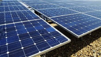 ومن المأمول أن تصبح قاطرة للطاقة النظيفة، ويجب أن تكون مزادات ومشتريات محطات الطاقة الشمسية واسعة النطاق شفافة.