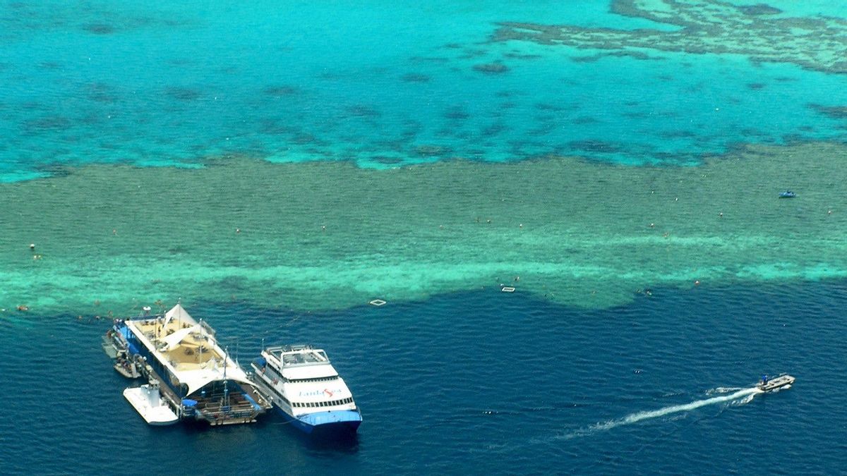 The UN Panel Calls The Great Barrier Reef Must Be Added To The List 'In Danger'