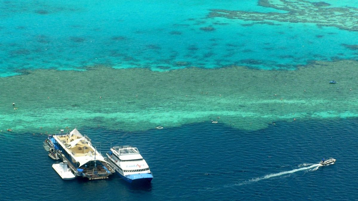 Panel PBB Sebut Great Barrier Reef Harus Dimasukkan ke Daftar 'Dalam Bahaya'