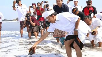 Dispar Bali : Le nombre de délégués visitant le mer de Kerthi continue d'augmenter