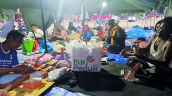 In A Day, PLN's Mobile Kitchen Trains More Than 800 Foodrptions For Semeru Refugees