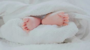 Kasus Jual Beli 24 Bayi ke Luar Negeri, Prosesnya dari Bandung Transit Kalbar Masuk Singapura