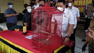Penjual Burung Endemik di Sidoarjo Ditangkap, Pelaku Jual Cenderawasih Seharga Rp4 Juta