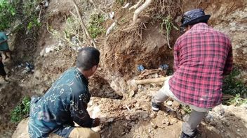 マンダリカの近くで違法な金鉱が閉鎖される