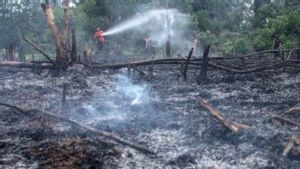 Di Tahun Poltik, Kasus Kebakaran Hutan Naik Demi Pencitraan Calon Kepala Daerah