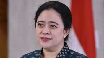 Respons Santai Jokowi Efek dari Gibran Rakabuming, Puan Maharani Targetkan Jateng Tetap Kandang Banteng