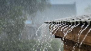 Prakiraan Cuaca Jakarta 01 Maret, Waspada Potensi Hujan Petir dan Angin Kencang