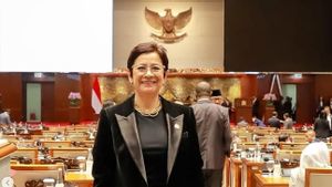 Nurul Arifin Apresiasi Kepatuhan Roblox terhadap PP Tunas, Perlindungan Anak Jadi Prioritas
