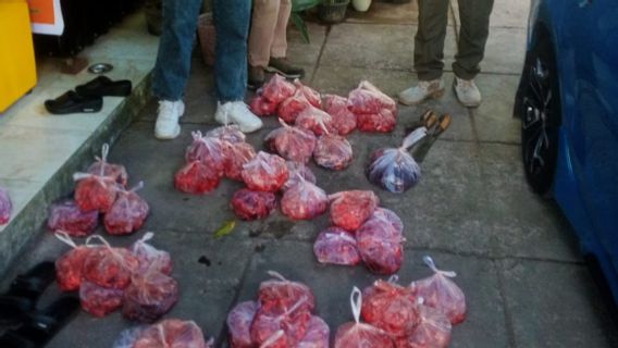 Bali Satpol PP Sita 56 Kilograms Of Crude Dog Meat Plus 500 Stab Sate