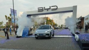 BYD Handed Over 1,000 Electric Car Units, This Is Consumer Hope For The Government