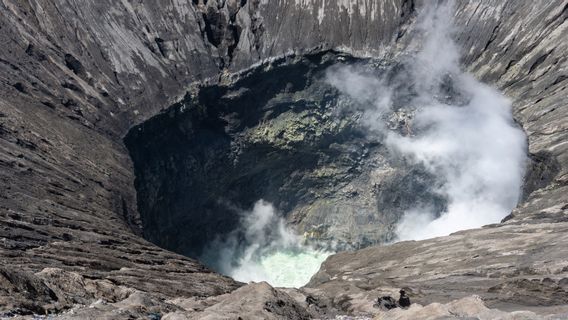 Getting To Know The Process Of Coal Formation From The Initial Stage, Lasting Millions Of Years