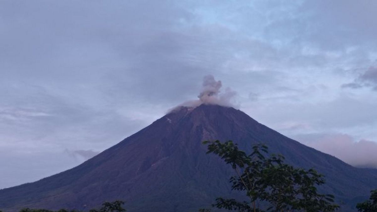 Gunung Semeru Eruption, montée d’Abou Vulkanik jusqu’à 700 mètres de haut