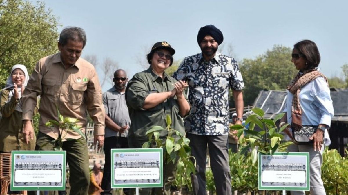 Presiden Bank Dunia Kunjungi Rehabilitasi Mangrove di Banten