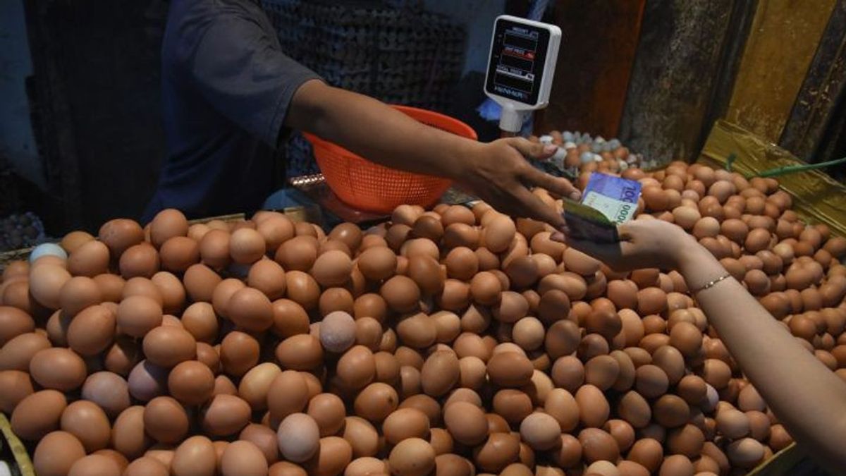 十分な在庫、なぜ南カリマンタンの純血種の鶏の卵の価格が上昇しているのですか?貿易の頭の説明をチェックしてください
