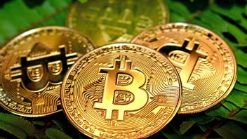 Interactive Brokers Group Offre Les Frais De Trading De Crypto-monnaie Les Plus Bas, Seulement 0,12%!