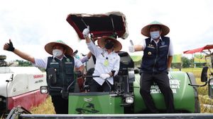 Gubernur Sumsel Salurkan Bantuan Alat Pertanian ke Petani di OKU Timur untuk Dukung Food Estate