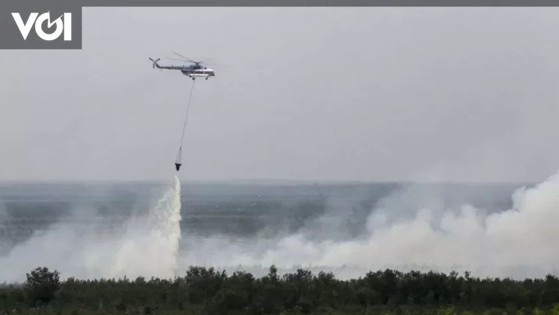 Minta Bantuan 10 Helikopter BNPB Untuk Tangani Karhutla, BPBD Kalsel ...