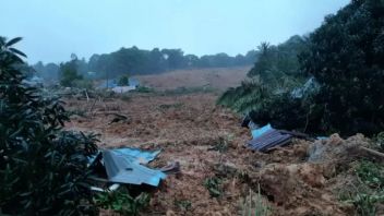 Tim yang Dilatih BNPB Hitung Kerugian Dampak Bencana Terjun ke Lokasi Longsor Natuna