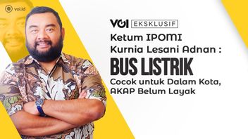 独占ビデオ、IPOMIのケトゥム・クルニア・レスアナ・アドナン:バス会社は戦争の影響を感じます