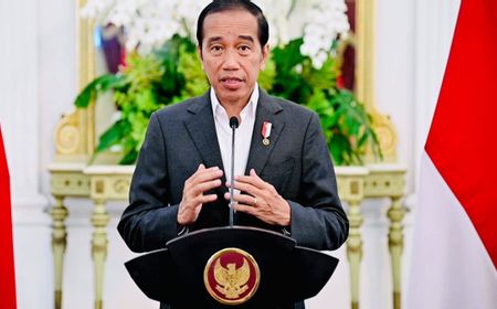 Jokowi Memang Harus Turun Tangan Atasi Konflik Pulau Rempang