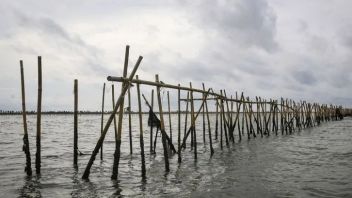 Selain Kades Kohod, Ini Tiga Orang Lainnya yang Jadi Tersangka Pemalsu Akta Tanah Pagar Laut