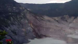 PVMBG Pastikan Video Erupsi Gunung Tangkuban Perahu Hoaks