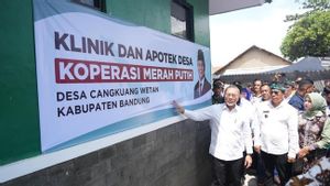 Kesiapan Belum Matang, Ekonom Celios Minta Pemerintah Tunda Peluncuran Kopdes Merah Putih
