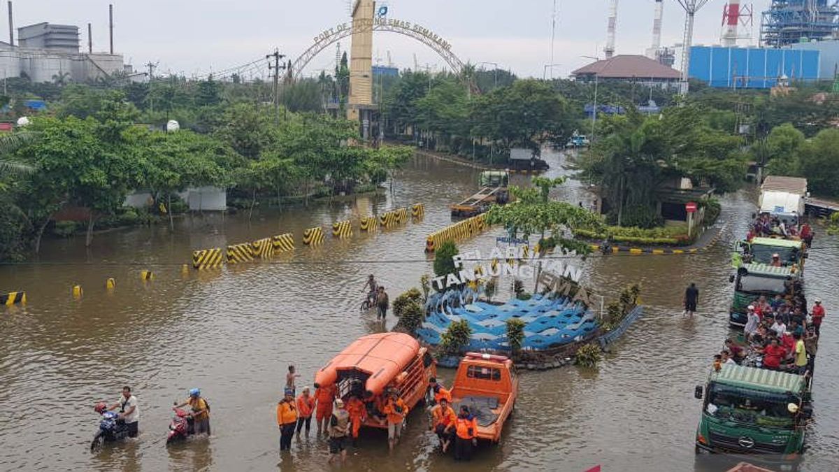 Manual Tanpa Alat Berat, Pembangunan Tanggul Laut Darurat di Pelabuhan Tanjung Emas Semarang Tengah Dikebut