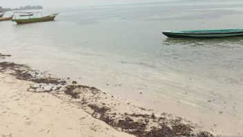 Pulau Pari Tercemar Tumpahan Minyak Mentah, Penyebabnya Sedang Ditelusuri
