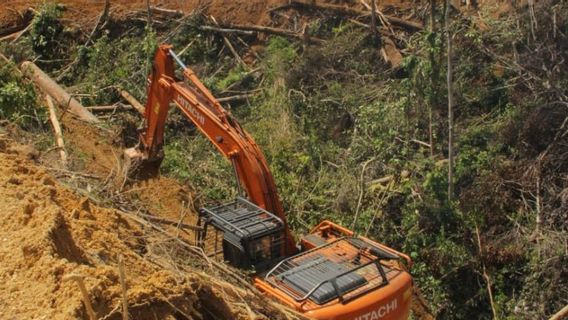 达拉米摄政政府关于Mukomuko DPRD个人参与增加非法森林的指控报告